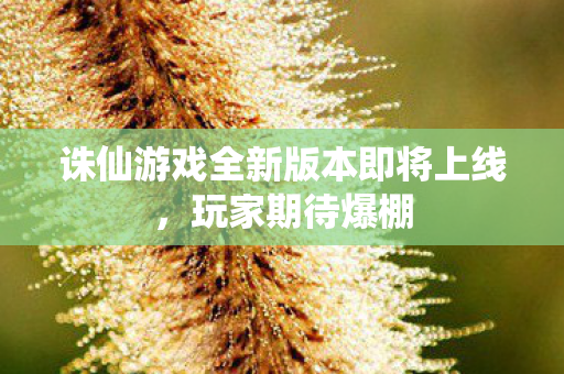 诛仙游戏全新版本即将上线图片