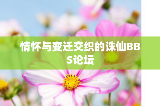 情怀与变迁交织的诛仙BBS论坛图片