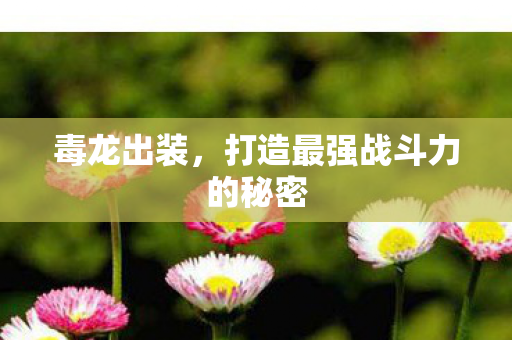打造最强战斗力的秘密图片
