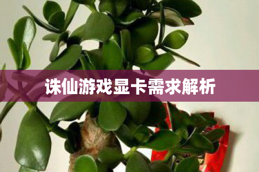 诛仙游戏显卡需求解析图片