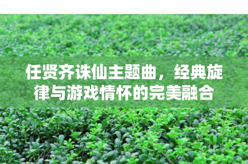 经典旋律与游戏情怀的完美融合图片