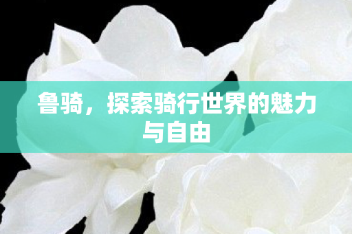 探索骑行世界的魅力与自由图片