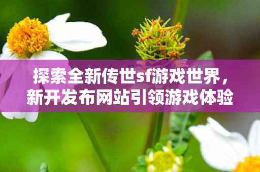 新开发布网站引领游戏体验革命图片
