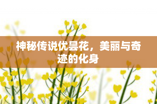 美丽与奇迹的化身图片