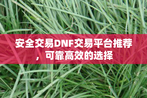 安全交易DNF交易平台推荐图片