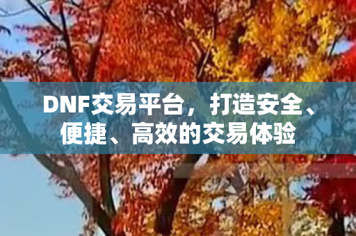 DNF交易平台图片