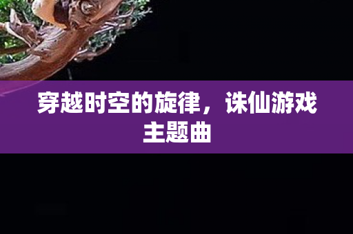 穿越时空的旋律图片
