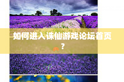 如何进入诛仙游戏论坛首页图片