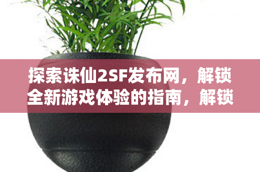 解锁全新游戏体验的指南图片