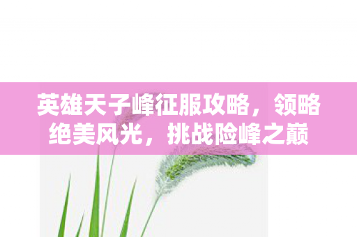 英雄天子峰征服攻略图片