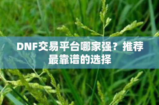 DNF交易平台哪家强图片
