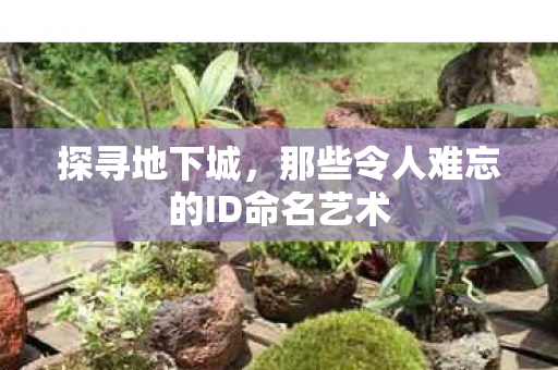 那些令人难忘的ID命名艺术图片