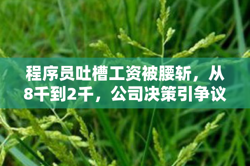 程序员吐槽工资被腰斩图片