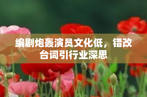 编剧炮轰演员文化低图片