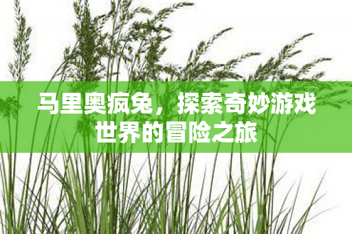 探索奇妙游戏世界的冒险之旅图片