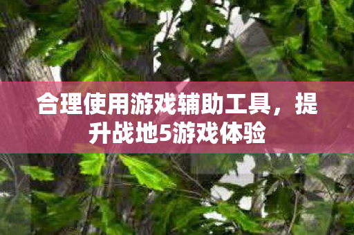 合理使用游戏辅助工具图片