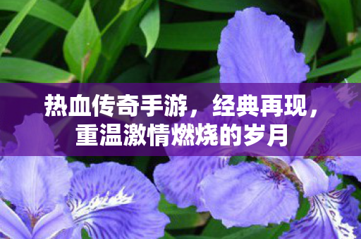 重温激情燃烧的岁月图片