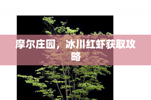 冰川红虾获取攻略图片