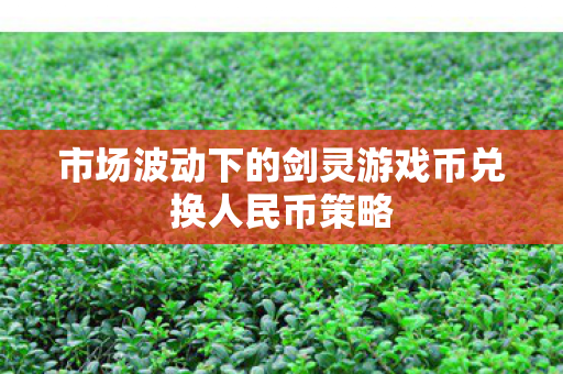 市场波动下的剑灵游戏币兑换人民币策略图片