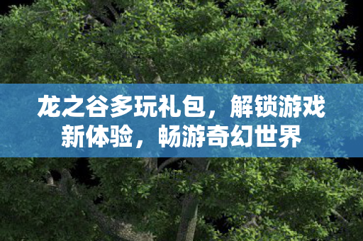 龙之谷多玩礼包图片