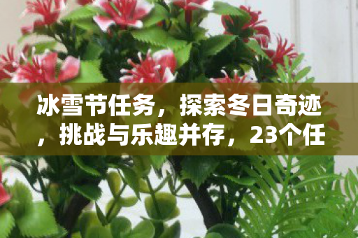 23个任务完成后的惊喜揭晓图片