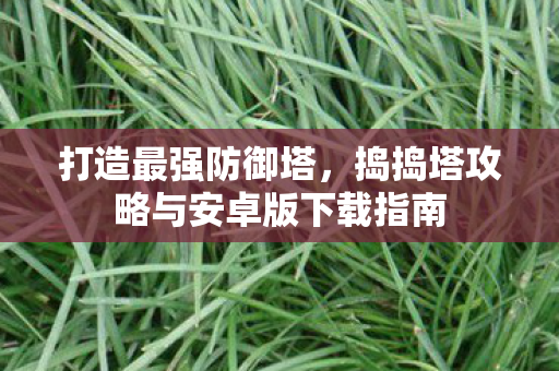 捣捣塔攻略与安卓版下载指南图片