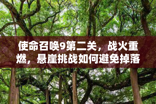 悬崖挑战如何避免掉落图片