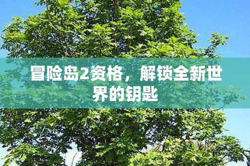 解锁全新世界的钥匙图片