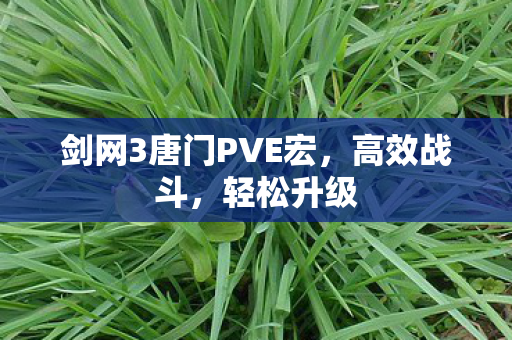 剑网3唐门PVE宏图片