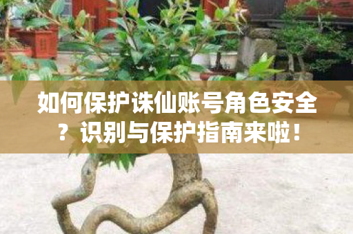 如何保护诛仙账号角色安全图片