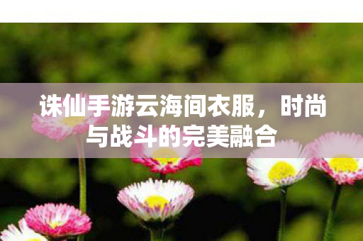 时尚与战斗的完美融合图片