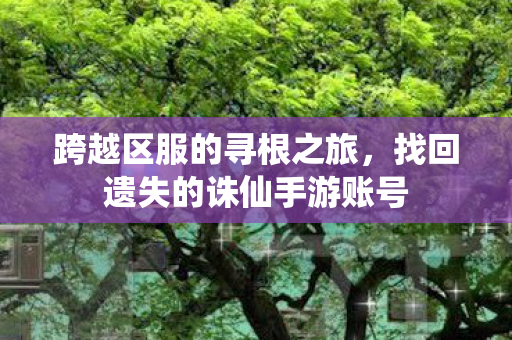 跨越区服的寻根之旅,找回遗失的诛仙手游账号 跨越区服的寻根之旅,找回遗失的诛仙手游账号