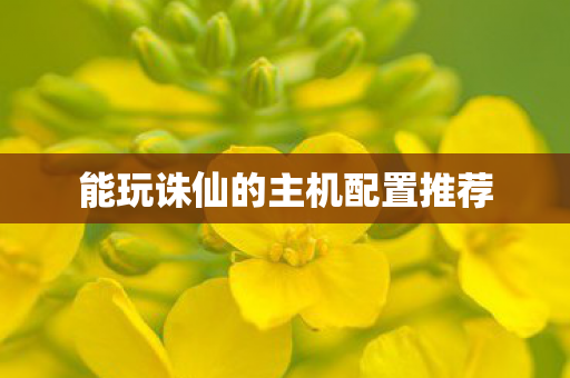 能玩诛仙的主机配置推荐