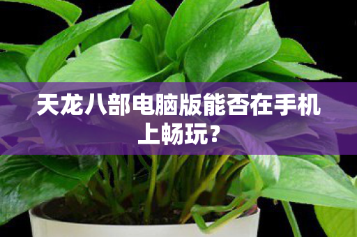 天龙八部电脑版能否在手机上畅玩图片