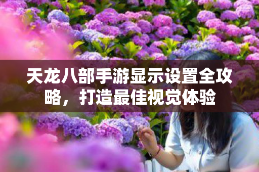 天龙八部手游显示设置全攻略图片