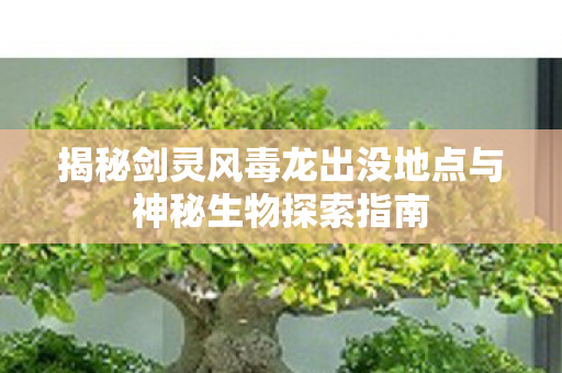 揭秘剑灵风毒龙出没地点与神秘生物探索指南图片