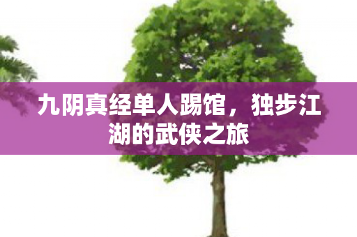 独步江湖的武侠之旅图片