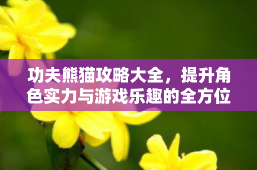 功夫熊猫攻略大全,提升角色实力与游戏乐趣的全方位指南 功夫熊猫攻略大全,提升角色实力与游戏乐趣的全方位指南