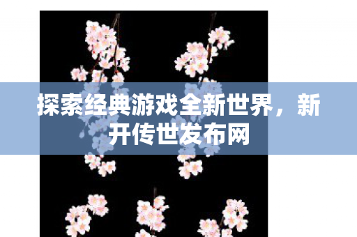 探索经典游戏全新世界图片