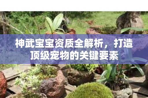 打造顶级宠物的关键要素图片