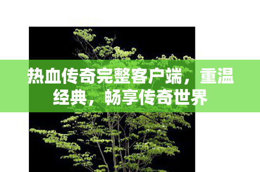 热血传奇完整客户端图片