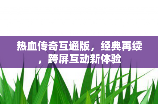 热血传奇互通版图片