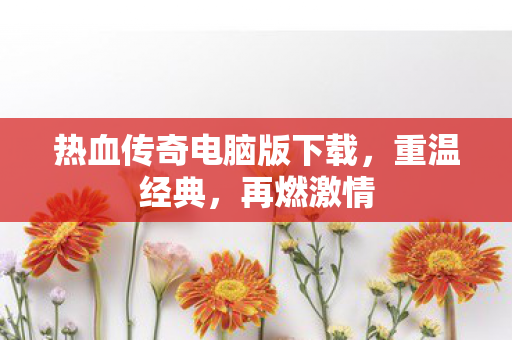 热血传奇电脑版下载图片