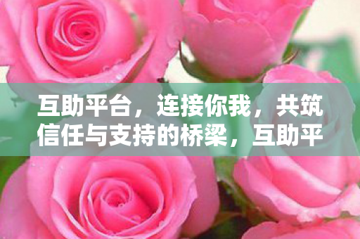 共筑信任与支持的桥梁图片