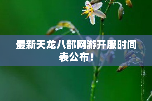 最新天龙八部网游开服时间表公布图片