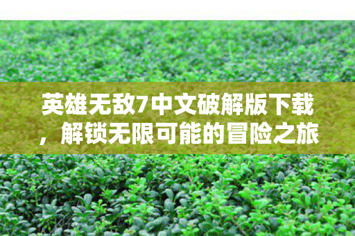 英雄无敌7中文破解版下载图片
