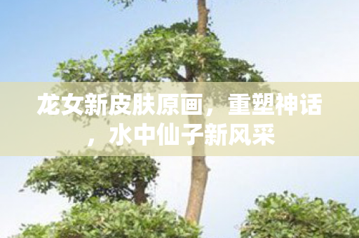 龙女新皮肤原画图片