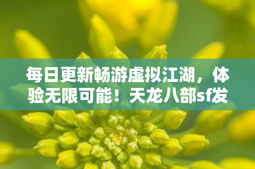 天龙八部sf发布网等你来战图片