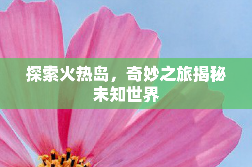 奇妙之旅揭秘未知世界图片