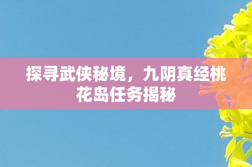 九阴真经桃花岛任务揭秘图片